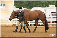 4H-Districts-11_1274.jpg