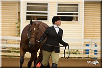 4H-Districts-11_1275.jpg
