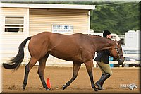 4H-Districts-11_1276.jpg