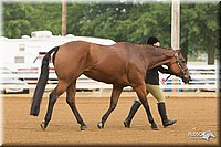 4H-Districts-11_1277.jpg