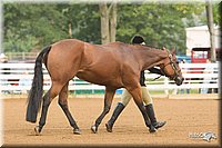 4H-Districts-11_1278.jpg