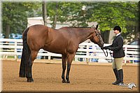 4H-Districts-11_1280.jpg