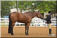 4H-Districts-11_1281.jpg