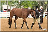 4H-Districts-11_1282.jpg