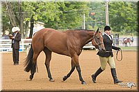 4H-Districts-11_1283.jpg