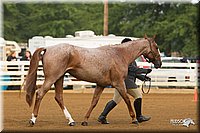 4H-Districts-11_1288.jpg