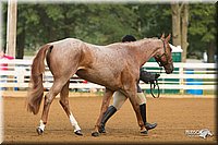 4H-Districts-11_1289.jpg