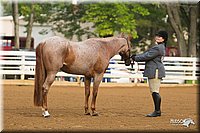 4H-Districts-11_1290.jpg