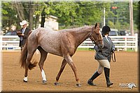 4H-Districts-11_1291.jpg