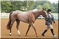 4H-Districts-11_1292.jpg