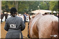 4H-Districts-11_1293.jpg