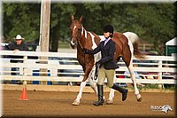 4H-Districts-11_1294.jpg
