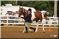 4H-Districts-11_1295.jpg