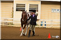 4H-Districts-11_1298.jpg