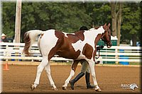 4H-Districts-11_1300.jpg