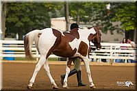 4H-Districts-11_1301.jpg