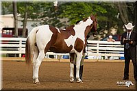 4H-Districts-11_1302.jpg