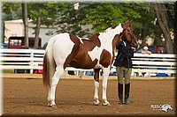 4H-Districts-11_1303.jpg