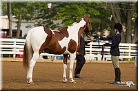 4H-Districts-11_1304.jpg