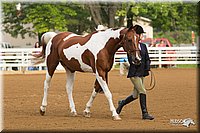 4H-Districts-11_1305.jpg