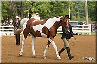4H-Districts-11_1306.jpg