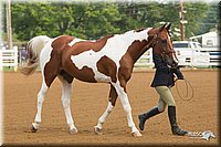 4H-Districts-11_1307.jpg