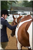 4H-Districts-11_1311.jpg