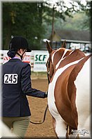 4H-Districts-11_1312.jpg