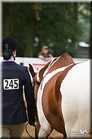 4H-Districts-11_1313.jpg
