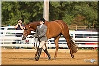 4H-Districts-11_1316.jpg
