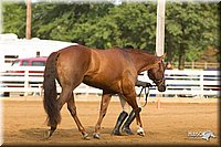 4H-Districts-11_1319.jpg