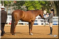 4H-Districts-11_1320.jpg