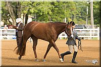 4H-Districts-11_1322.jpg