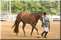 4H-Districts-11_1323.jpg