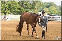 4H-Districts-11_1324.jpg