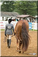 4H-Districts-11_1328.jpg