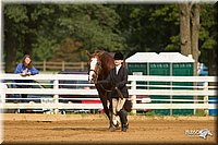 4H-Districts-11_1329.jpg