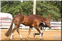 4H-Districts-11_1334.jpg