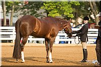4H-Districts-11_1335.jpg