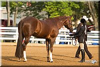 4H-Districts-11_1336.jpg