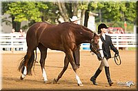 4H-Districts-11_1337.jpg