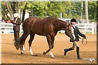 4H-Districts-11_1338.jpg