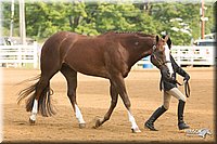 4H-Districts-11_1339.jpg