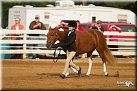 4H-Districts-11_1346.jpg