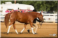 4H-Districts-11_1349.jpg