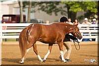 4H-Districts-11_1350.jpg