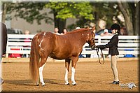 4H-Districts-11_1351.jpg