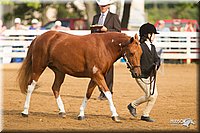 4H-Districts-11_1353.jpg
