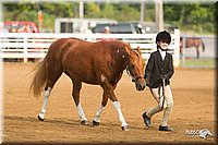 4H-Districts-11_1354.jpg