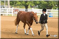 4H-Districts-11_1355.jpg